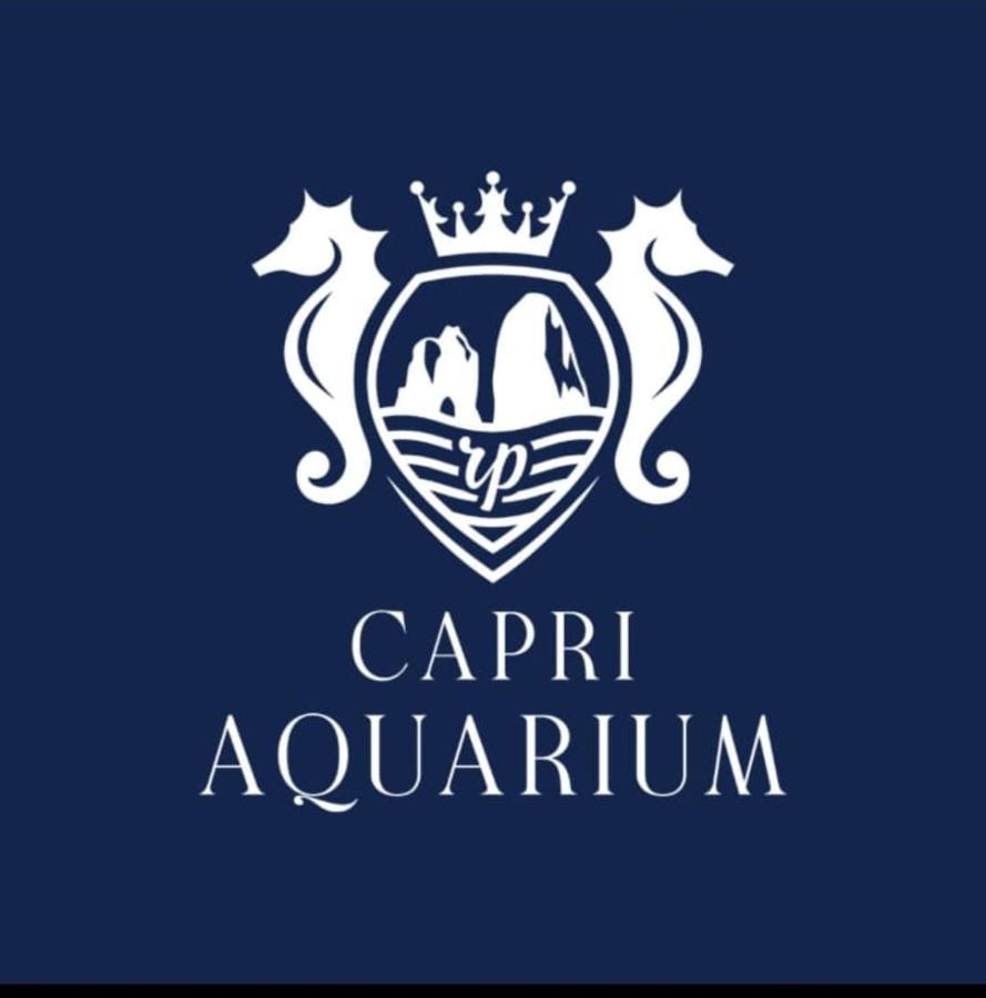 Capri Aquarium Family - Vacation Home المظهر الخارجي الصورة