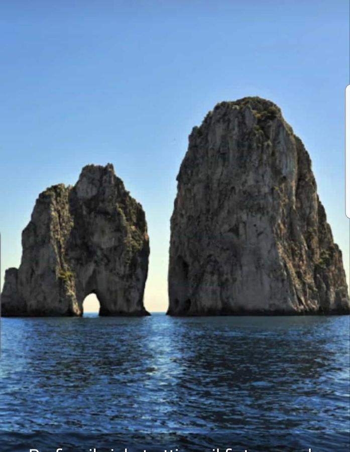 Capri Aquarium Family - Vacation Home المظهر الخارجي الصورة